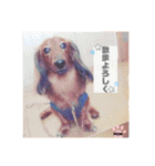 ロン吉の日常（個別スタンプ：12）