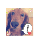 ロン吉の日常（個別スタンプ：16）