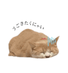 ひとんちの子（個別スタンプ：8）