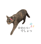 ひとんちの子（個別スタンプ：14）