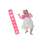 momoka☆1（個別スタンプ：25）