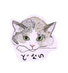 ゆるり関西弁キャット（個別スタンプ：3）