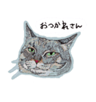 ゆるり関西弁キャット（個別スタンプ：9）