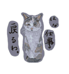 ゆるり関西弁キャット（個別スタンプ：12）