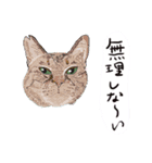 ゆるり関西弁キャット（個別スタンプ：14）