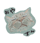 ゆるり関西弁キャット（個別スタンプ：15）