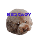 simple_takky01（個別スタンプ：4）
