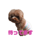 simple_takky01（個別スタンプ：5）