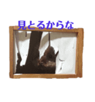 simple_takky01（個別スタンプ：7）
