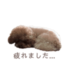 simple_takky01（個別スタンプ：8）