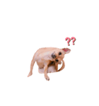 てみちゃんのきもち（個別スタンプ：8）