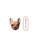 てみちゃんのきもち（個別スタンプ：10）