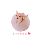 てみちゃんのきもち（個別スタンプ：14）
