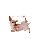 てみちゃんのきもち（個別スタンプ：15）