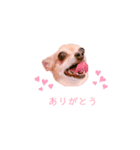 てみちゃんのきもち（個別スタンプ：16）