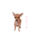 てみちゃんのきもち（個別スタンプ：20）