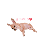 てみちゃんのきもち（個別スタンプ：23）