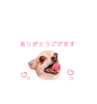 てみちゃんのきもち（個別スタンプ：26）