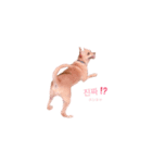 てみちゃんのきもち（個別スタンプ：28）