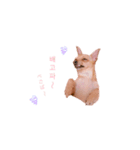 てみちゃんのきもち（個別スタンプ：30）