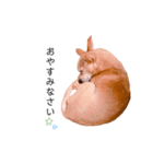 てみちゃんのきもち（個別スタンプ：32）