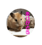 凛＆凛空（個別スタンプ：1）