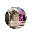 凛＆凛空（個別スタンプ：3）