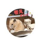 凛＆凛空（個別スタンプ：4）