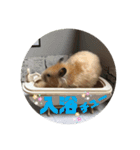 凛＆凛空（個別スタンプ：5）