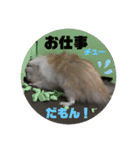 凛＆凛空（個別スタンプ：9）