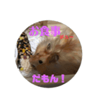 凛＆凛空（個別スタンプ：10）