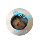 凛＆凛空（個別スタンプ：12）