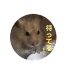 凛＆凛空（個別スタンプ：14）