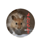 凛＆凛空（個別スタンプ：16）