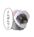ツンデレおっさんのライ坊（個別スタンプ：5）