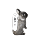 ツンデレおっさんのライ坊（個別スタンプ：6）