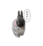 ツンデレおっさんのライ坊（個別スタンプ：7）
