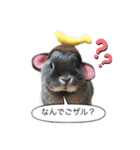 ツンデレおっさんのライ坊（個別スタンプ：8）