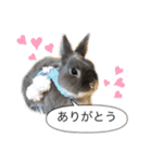 ツンデレおっさんのライ坊（個別スタンプ：9）
