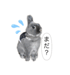 ツンデレおっさんのライ坊（個別スタンプ：10）