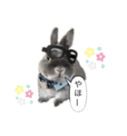 ツンデレおっさんのライ坊（個別スタンプ：11）