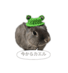 ツンデレおっさんのライ坊（個別スタンプ：12）