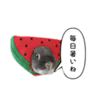 ツンデレおっさんのライ坊（個別スタンプ：13）