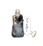 ツンデレおっさんのライ坊（個別スタンプ：15）