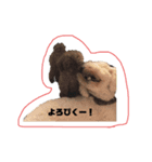 ななつのけだまみれ（個別スタンプ：13）