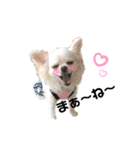 可愛いルルのおはなし❸（個別スタンプ：1）
