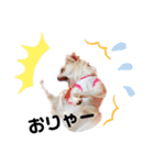 可愛いルルのおはなし❸（個別スタンプ：4）