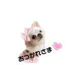 可愛いルルのおはなし❸（個別スタンプ：20）