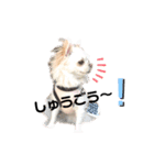 可愛いルルのおはなし❸（個別スタンプ：24）