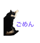 ろくと、仲間たち（個別スタンプ：3）